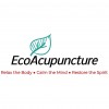 EcoAcupuncture