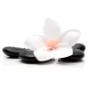 Zen Acupuncture
