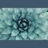 Align Acupuncture & Massage