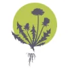 Petaluma Community Acupuncture