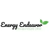 Energy Endeavor