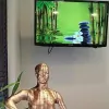 Sweetwater Acupuncture