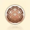 Center For Acupuncture & Integrative Medicine