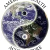 American Health Acupuncture
