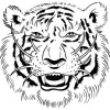 FAT TIGER Acupuncture