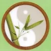 Advanced Acupuncture Centre