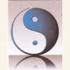MD Acupuncture & Herbal Medicine