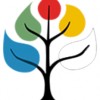 Element Acupuncture