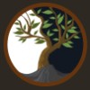 Tree of Qi Acupuncture Clinic