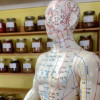 Brandon Acupuncture Center & Wellness